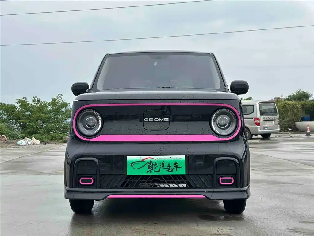 Galaxy Panda 2024
