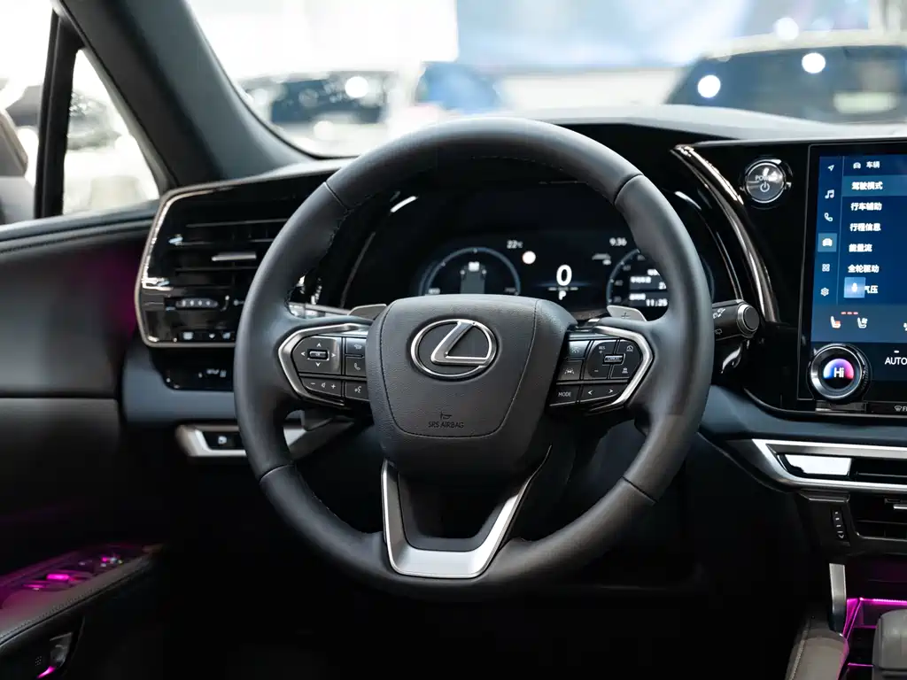 Lexus RX 2024 — фото 14