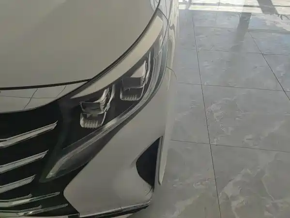 GAC Trumpchi M8 2021