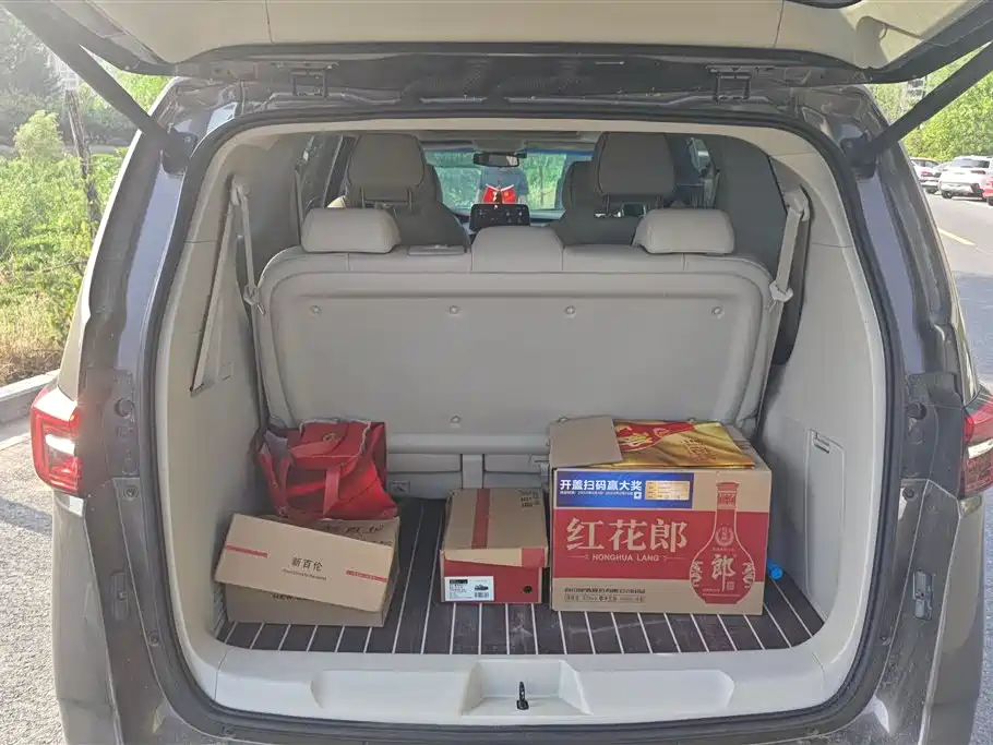 Buick GL8 2021