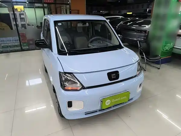 Dongfeng Scenery MINIEV 2024