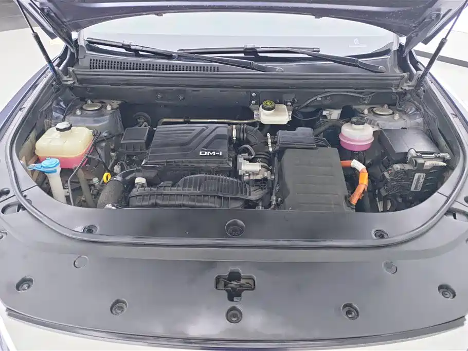 BYD Song Pro New Energy 2024 — фото 10
