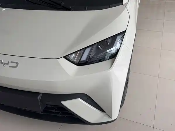 BYD Seagull 2024