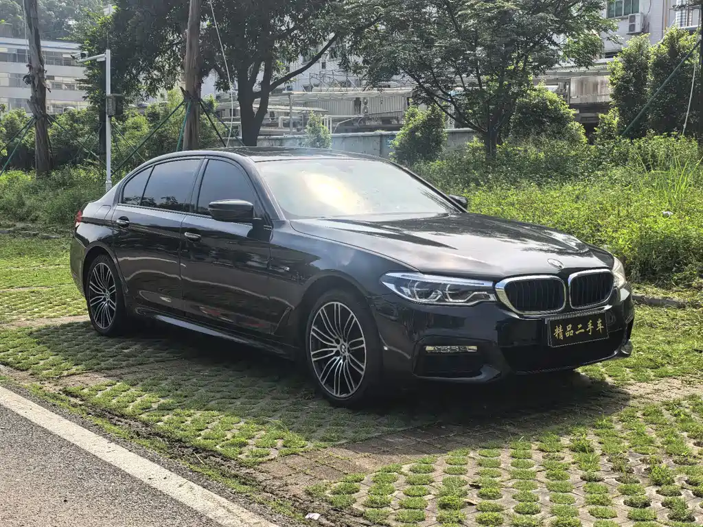 BMW 5 Series 2019