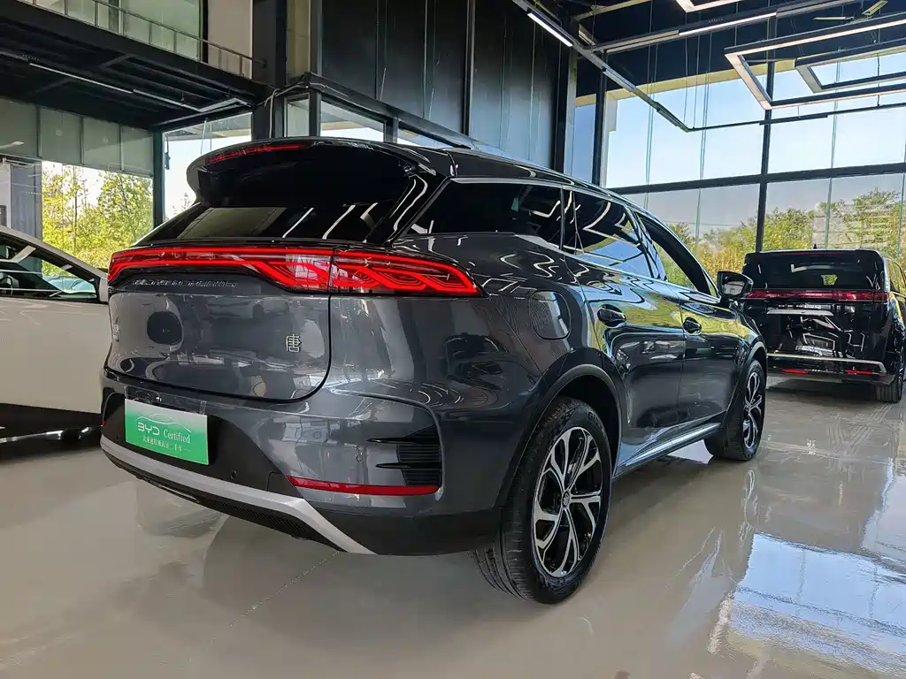 BYD Tang New Energy 2024 — фото 12