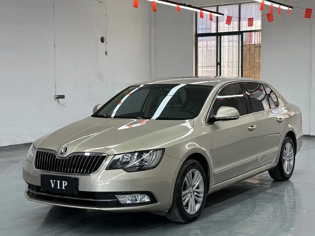 Skoda Speedy 2014