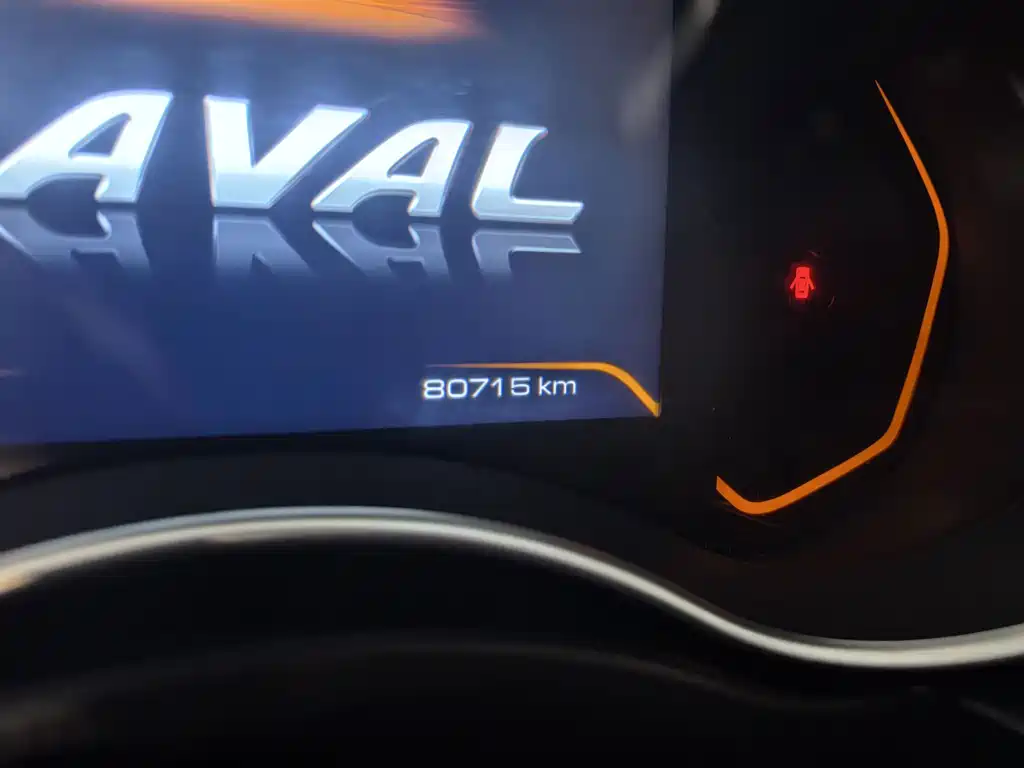 Haval H9 2021 — фото 11