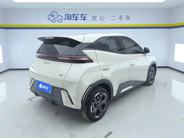 BYD Seagull 2024