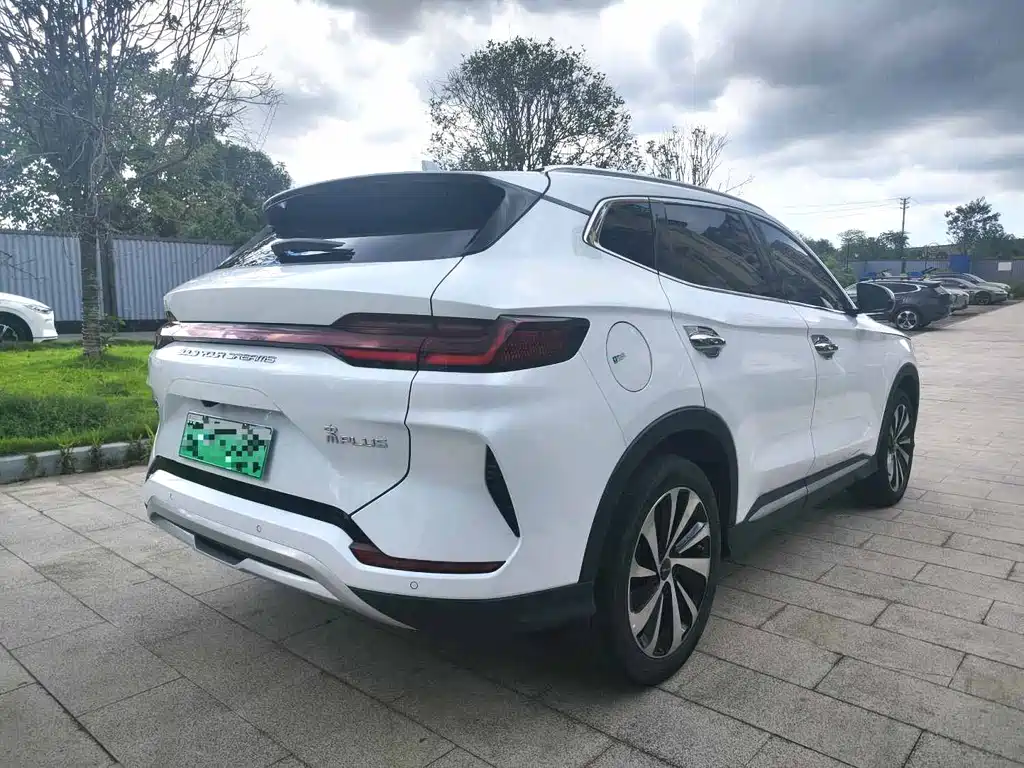 BYD PLUS New Energy 2024 — фото 14