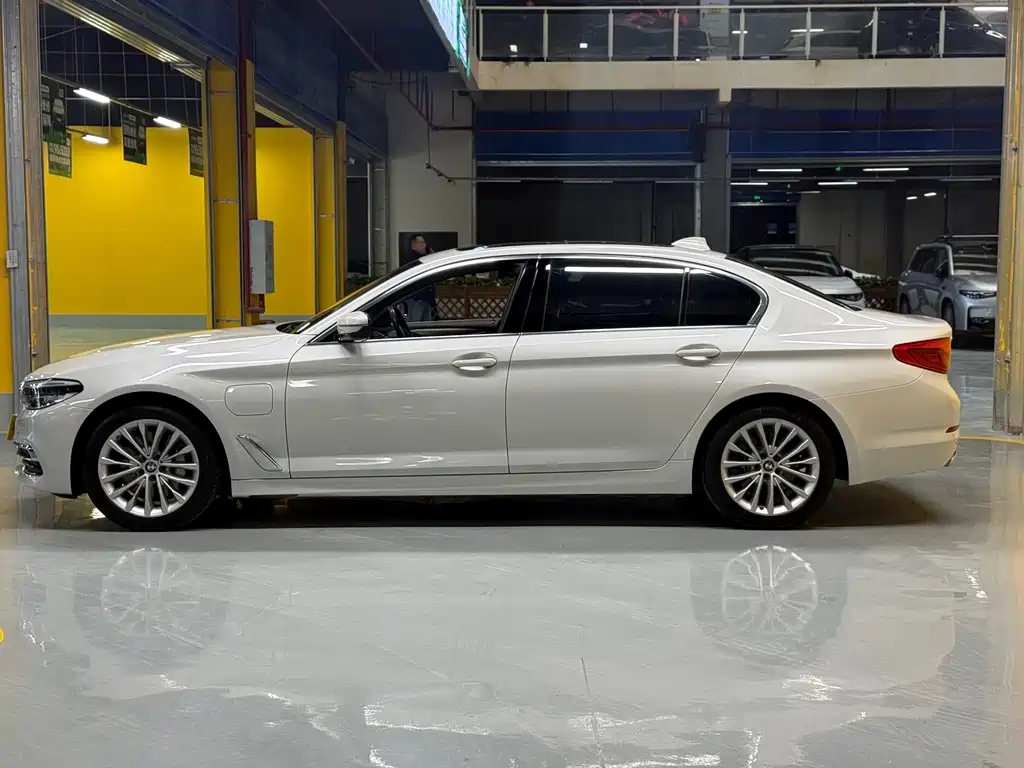 BMW 5 Series New Energy 2020