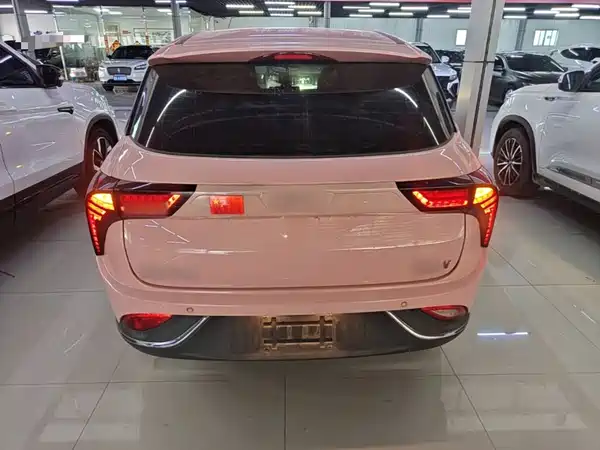 Neta V 2022