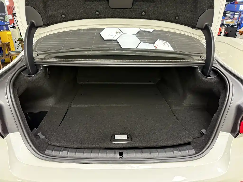 BMW 5 Series New Energy 2022