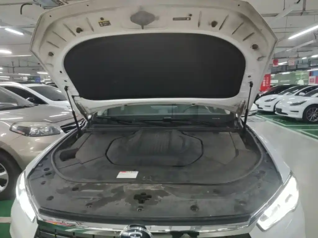 BYD Song Pro New Energy 2020 — фото 20