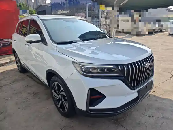 BAIC Ruixiang X5 2024