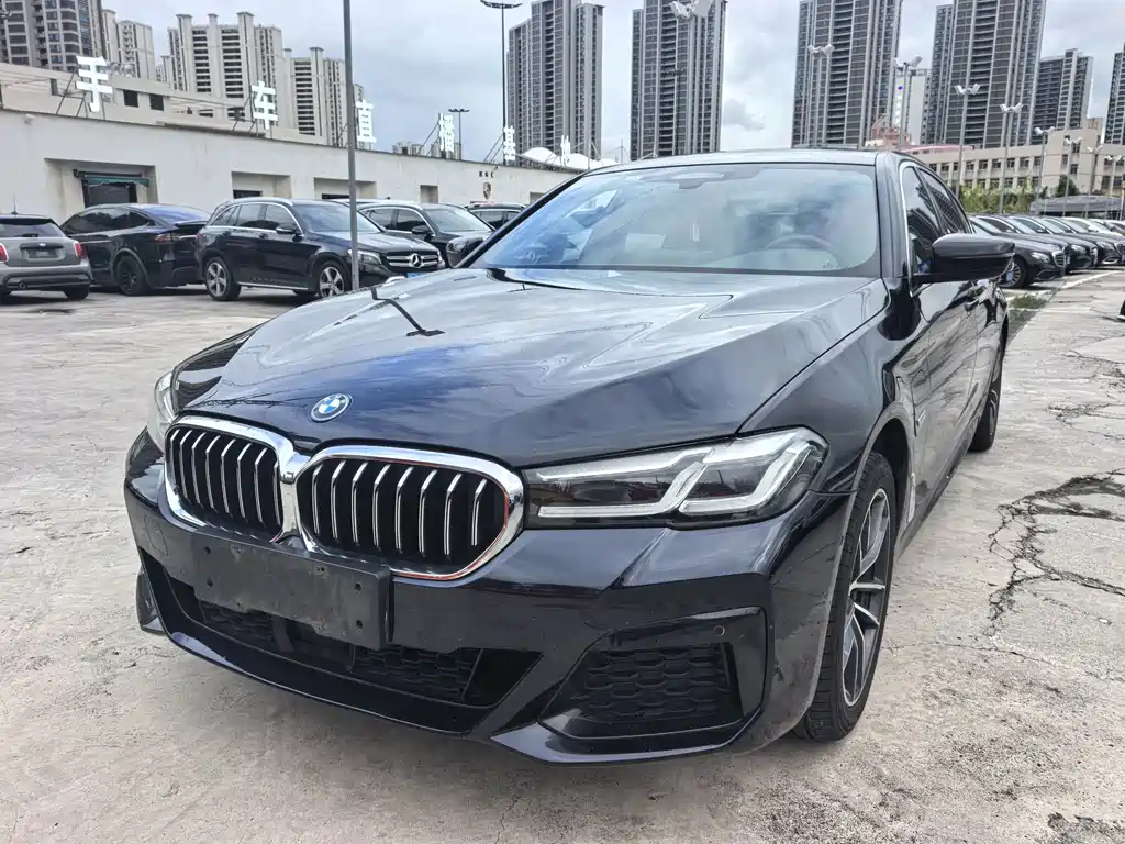 BMW 5 Series New Energy 2022 — фото 1