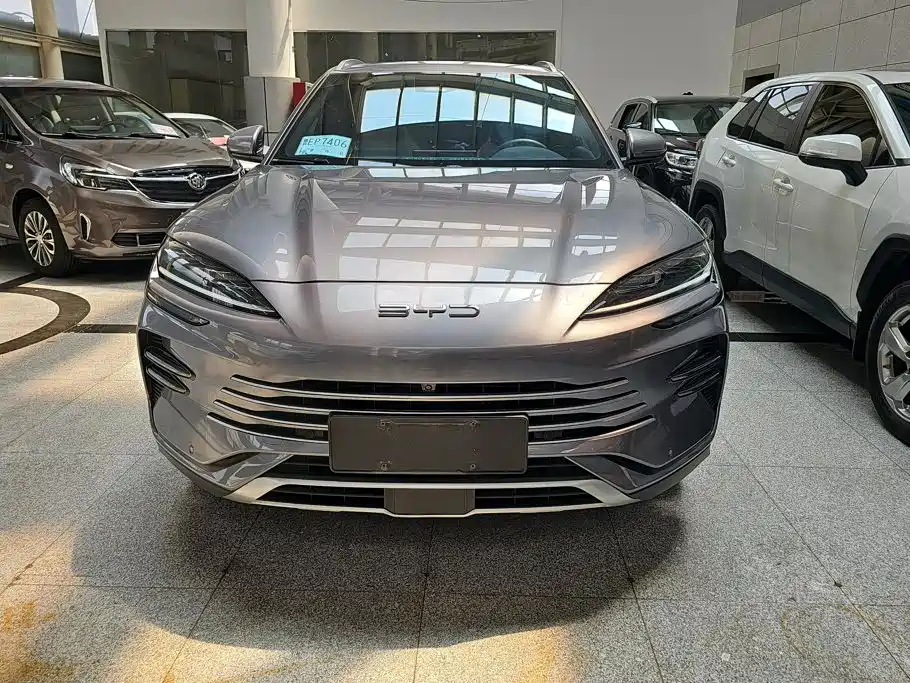 BYD Song PLUS New Energy 2023 — фото 2