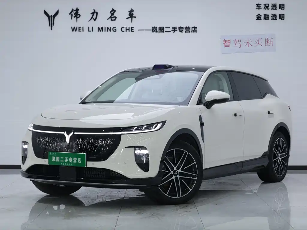 VOYAH Zhiyin 2025