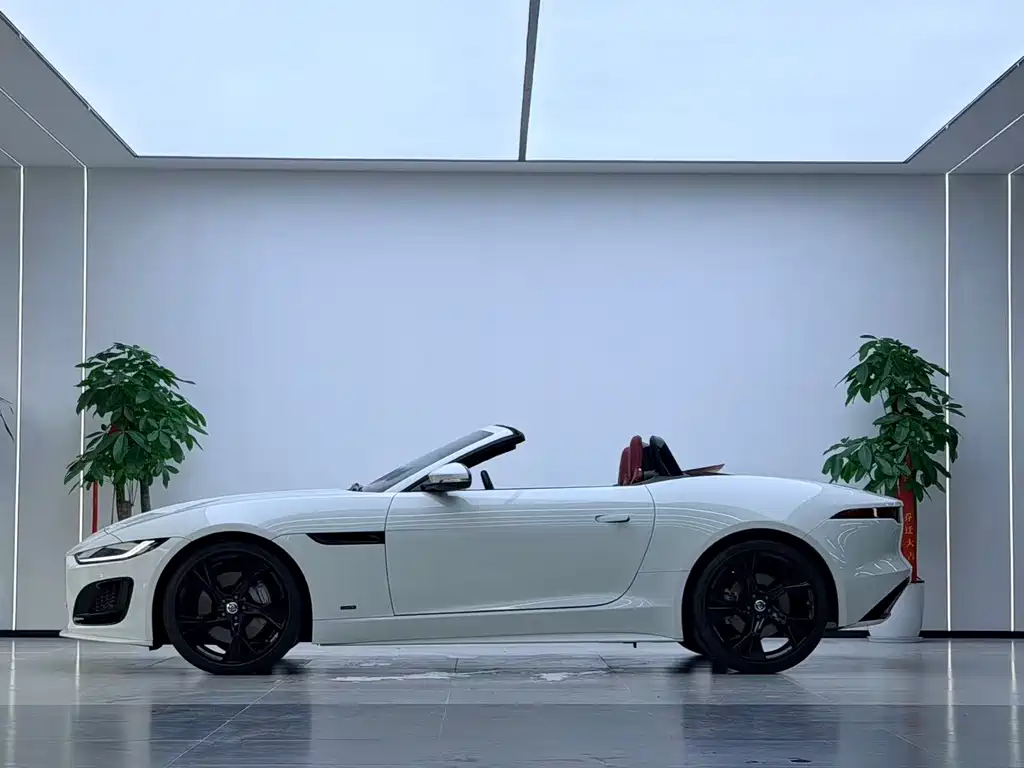 Jaguar F-TYPE 2024 — фото 14