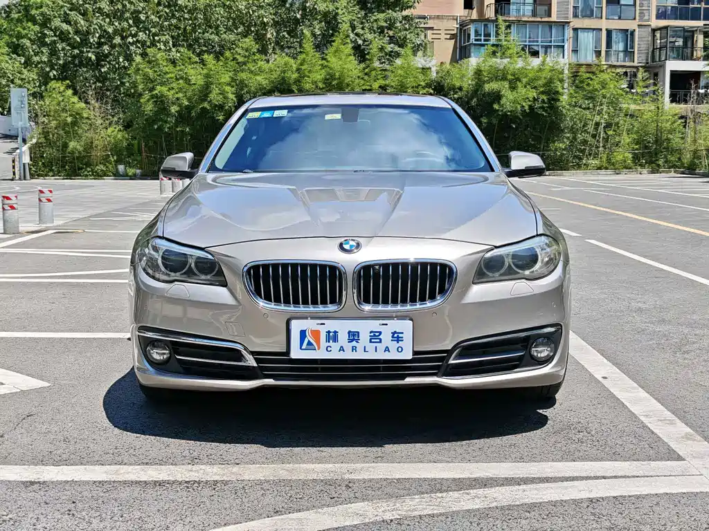 BMW 5 Series 2015