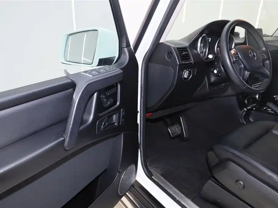 Mercedes-Benz G-Class 2018 — фото 18