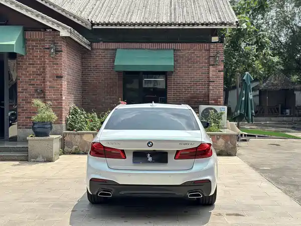 BMW 5 Series 2019