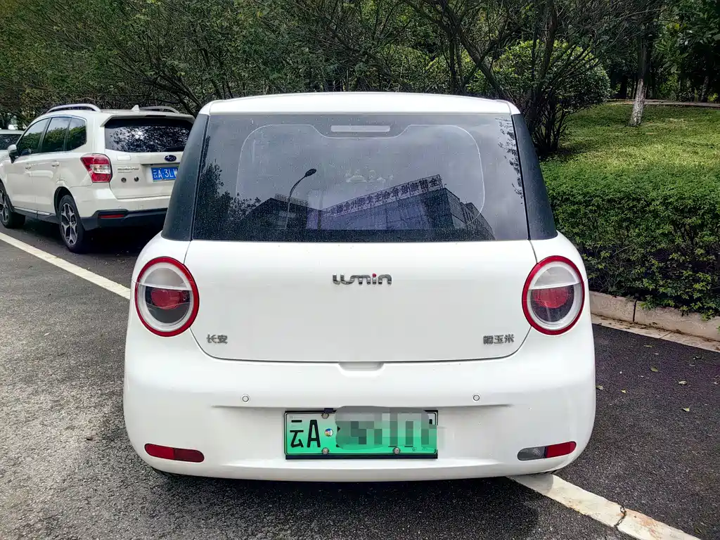 Changan Lumin 2023