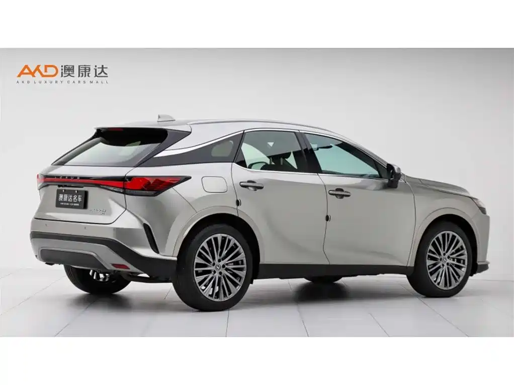 Lexus RX New Energy 2025 — фото 3