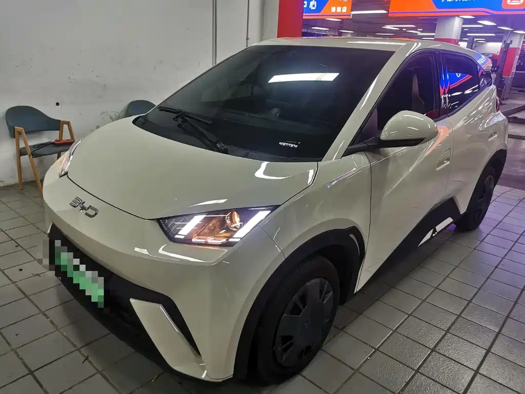 BYD Seagull 2024