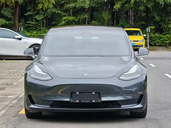 Tesla Model 3 2019