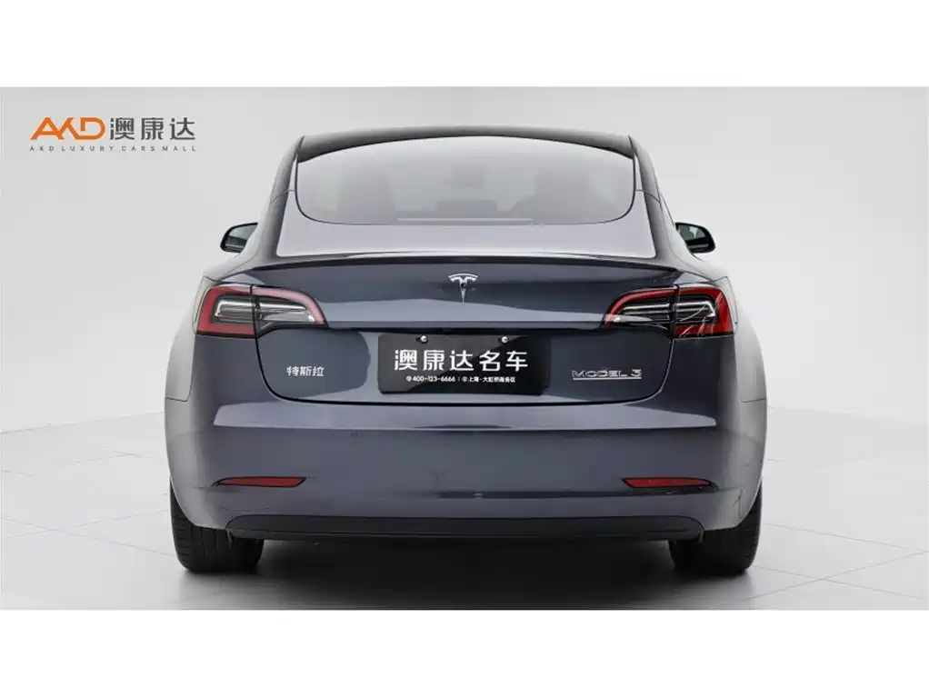 Tesla Model 3 2021