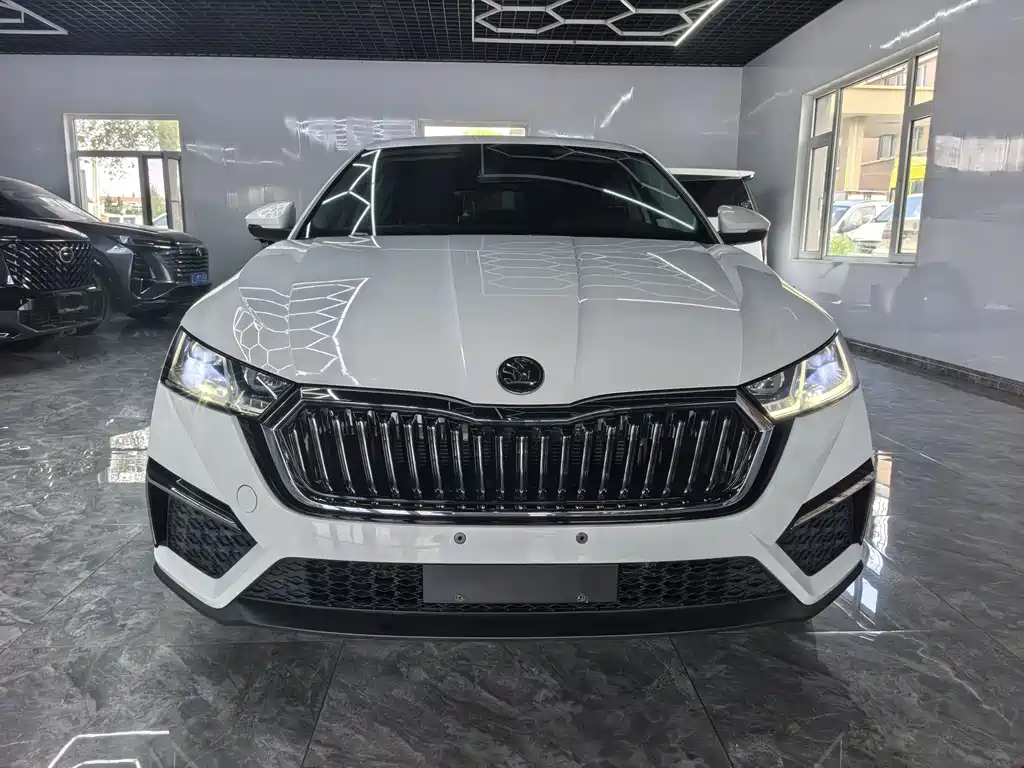 Skoda Octavia 2024 — фото 1