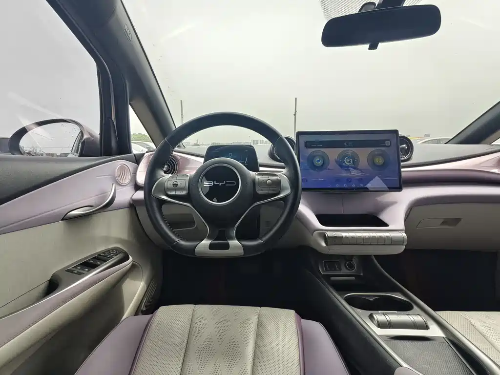 BYD Dolphin 2023 — фото 14