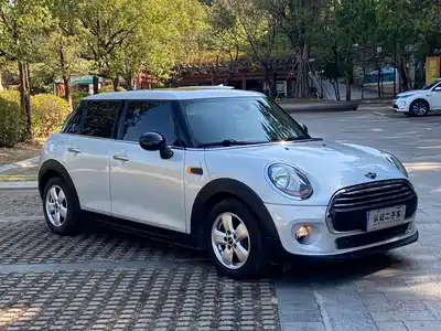 MINI MINI 2015