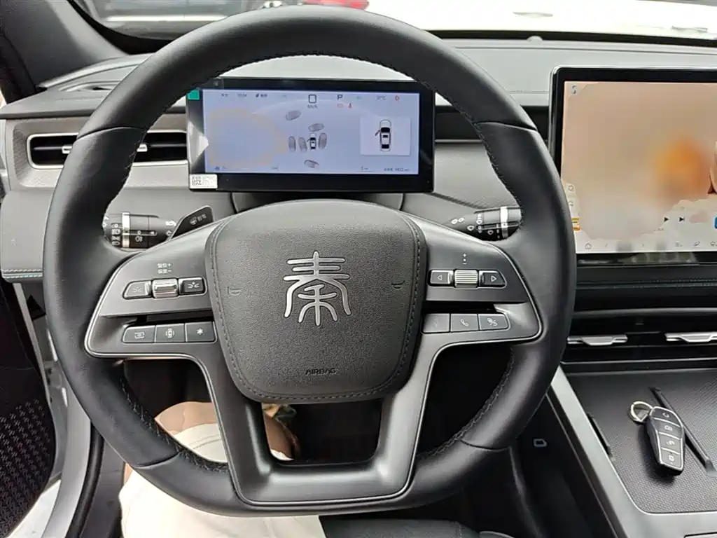 BYD Qin PLUS 2025 — фото 11