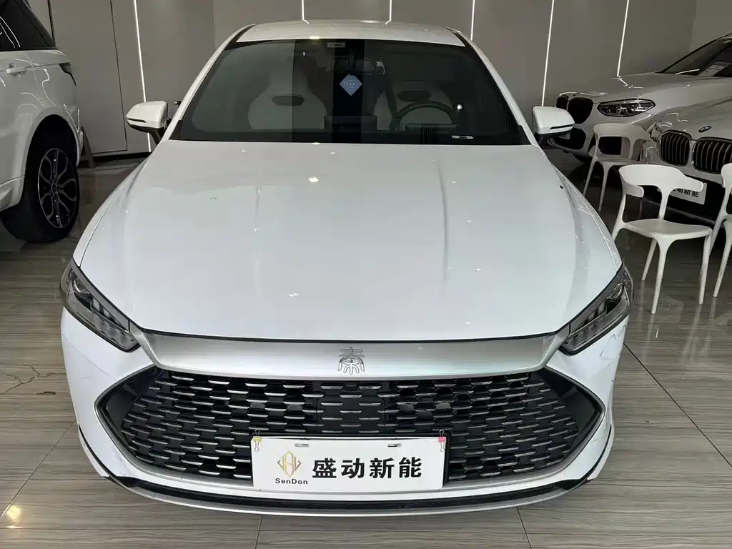 BYD Qin PLUS 2024 — фото 2