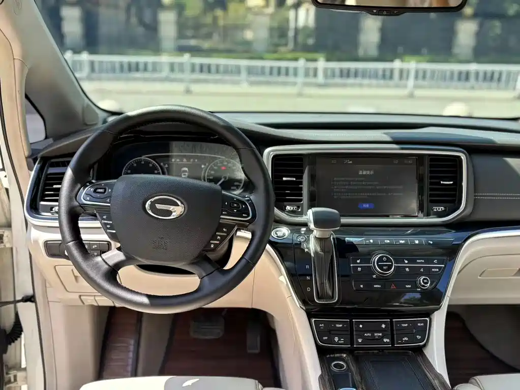 GAC Trumpchi M8 2018 — фото 12