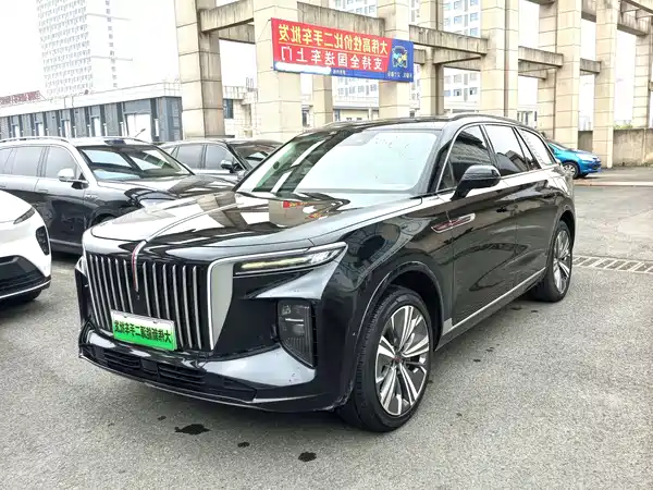 Hongqi E-HS9 2021
