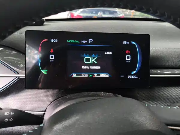 BYD Destroyer 05 2024