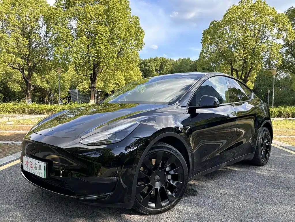 Tesla Model Y 2021 — фото 1