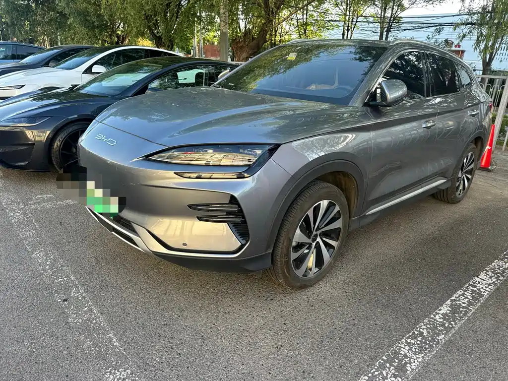 BYD PLUS New Energy 2024 — фото 1