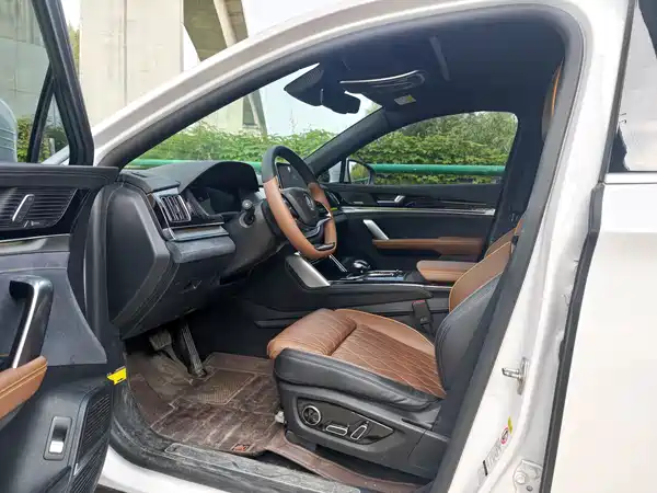 BYD Tang New Energy 2021