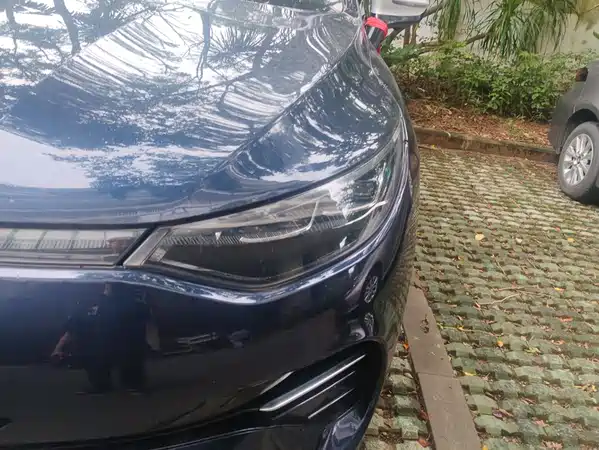 Denza X 2020