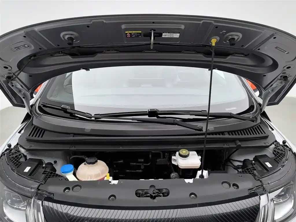 BYD Dolphin 2022