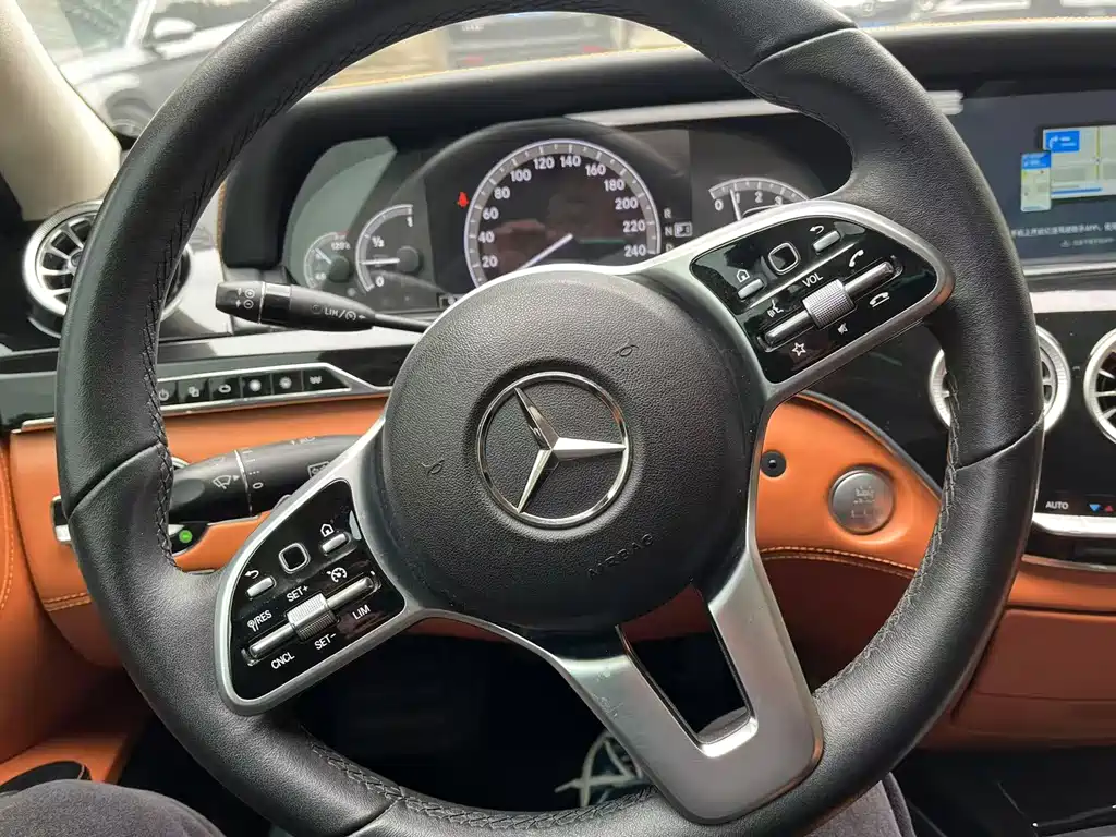 Mercedes-Benz S-Class 2010 — фото 14