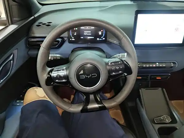 BYD Seagull 2025