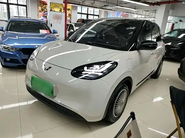 Wuling Bingo 2024