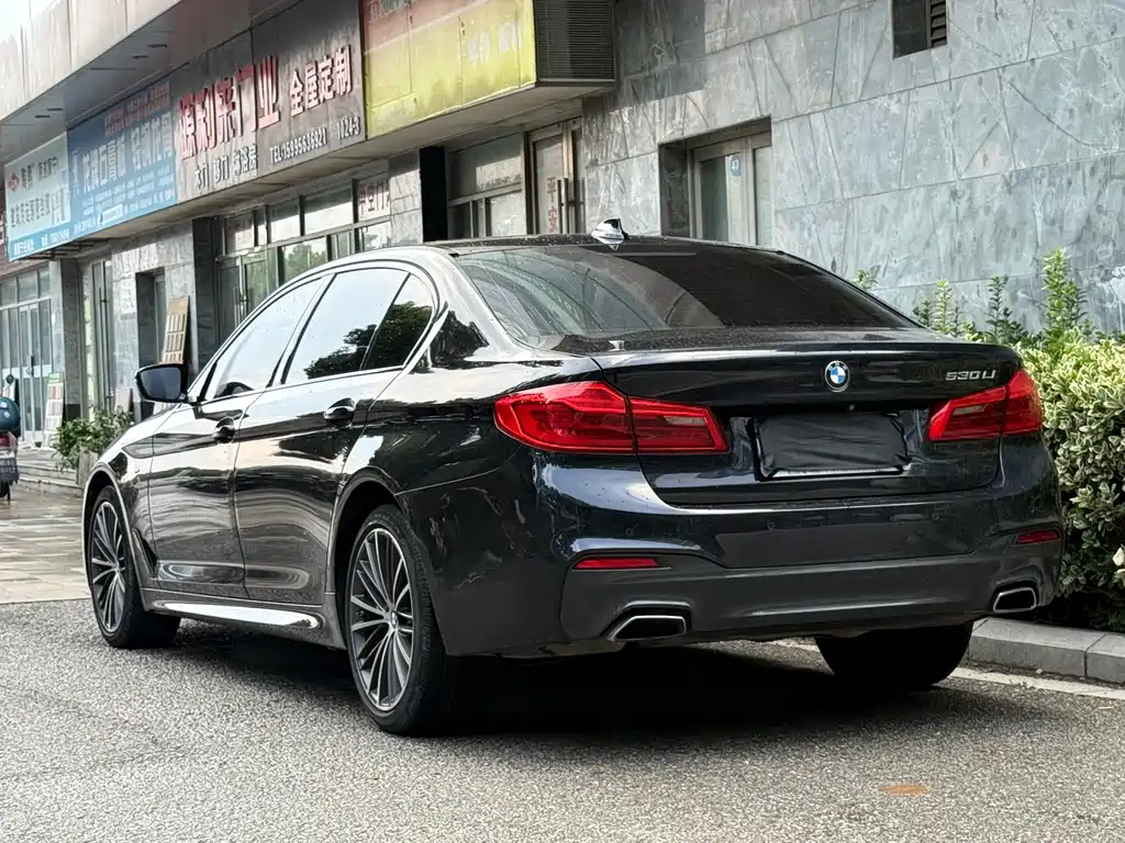BMW 5 Series 2019