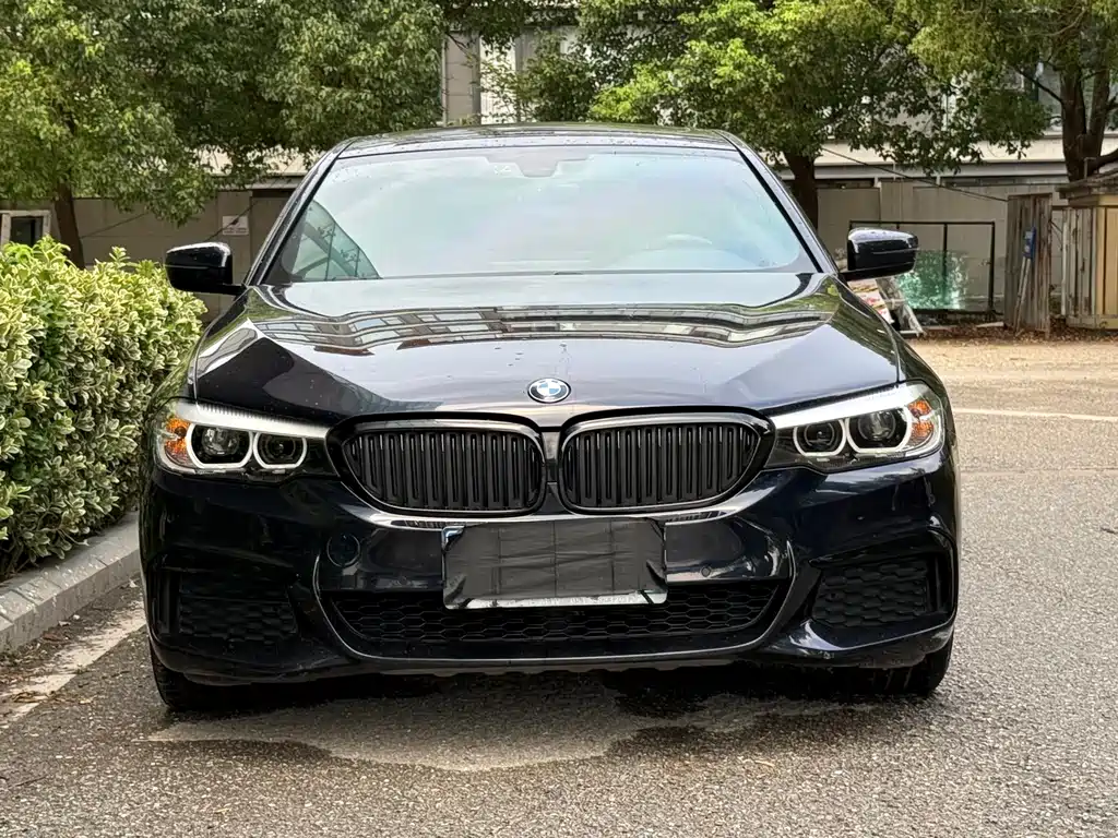 BMW 5 Series 2019