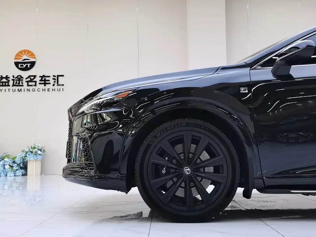Lexus RX 2025 — фото 26