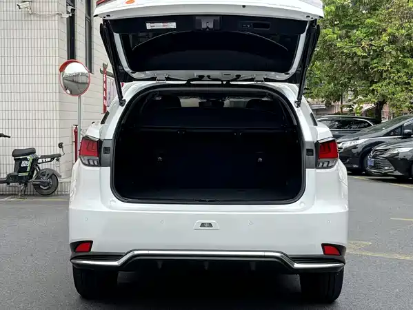 Lexus RX 2022